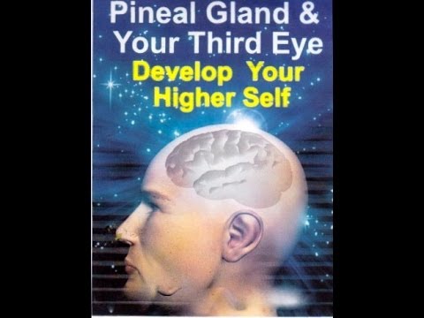 Delbert Blair- The Science of the Pineal Gland & Third Eye Activation