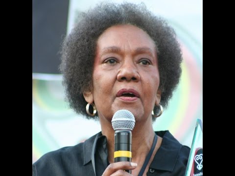 Professor Black Truth Speaks On The Attack On Dr Frances Cress Welsing Legacy