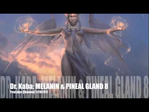 Dr. Kaba (Dr. Booker T. Coleman)_ MELANIN _ PINEAL GLAND Part 8