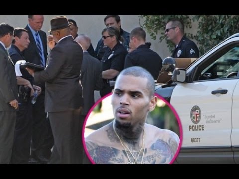Professor Griff- The Truth about Chris Brown, LAPD, and Interracial Relationships