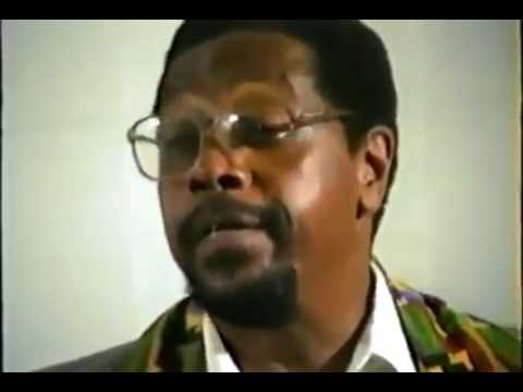 Dr  Amos Wilson   The Falsification of African Consciousness