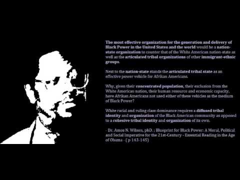 Dr. Amos N. Wilson: Organizing Black Power (You Just Don’t Want to Do It Speech)