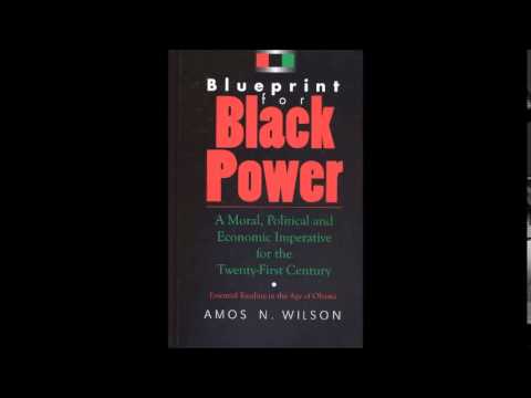 Amos N. Wilson | The Psychology of Co-operative Economics