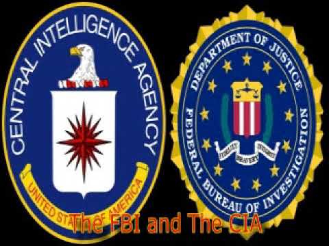Kwame Ture   The FBI and The CIA