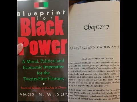 Dr. Amos Wilson’s Blueprint For Black Power Chapters 7  Part 1- RAM Bookclub