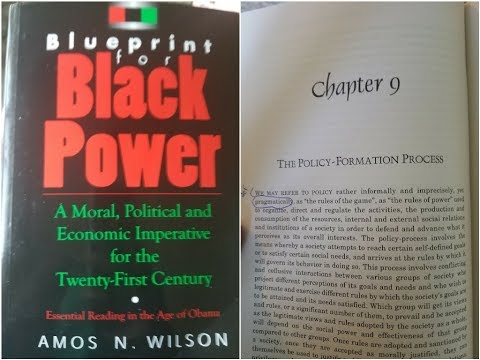Dr. Amos Wilson’s Blueprint For Black Power Chapter 9 part 1- RAM Bookclub