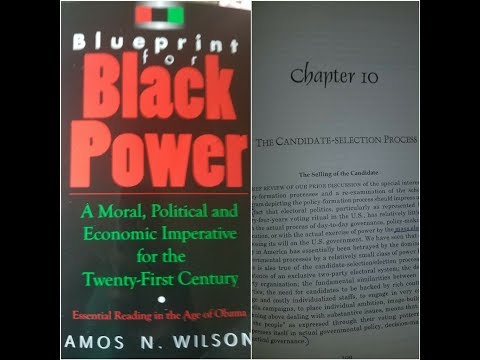 Dr. Amos Wilson, Blueprint For Black Power Chapter 10 – RAM Bookclub