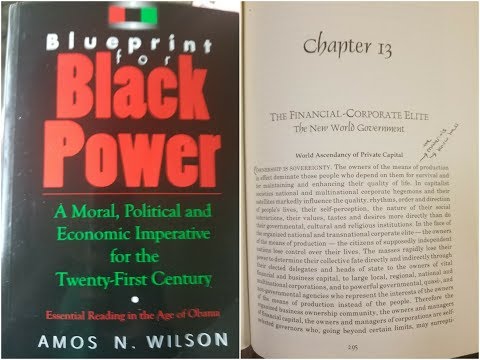 Dr. Amos Wilson, Blueprint For Black Power Chapter 13 – RAM Bookclub