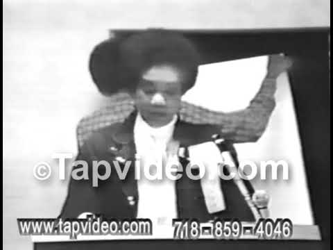 Dr  Frances Cress Welsing The Cress theory on melanin the neurochemical basis for soul