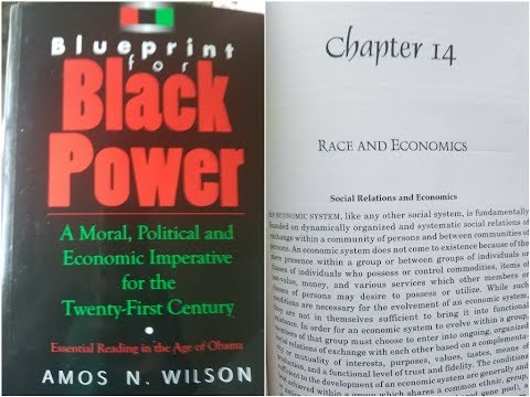 Dr. Amos Wilson, Blueprint For Black Power Chapter 14 part 2 – RAM Bookclub