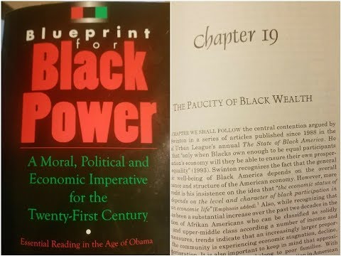 Dr. Amos Wilson, Blueprint For Black Power Chapter 19 – RAM Bookclub