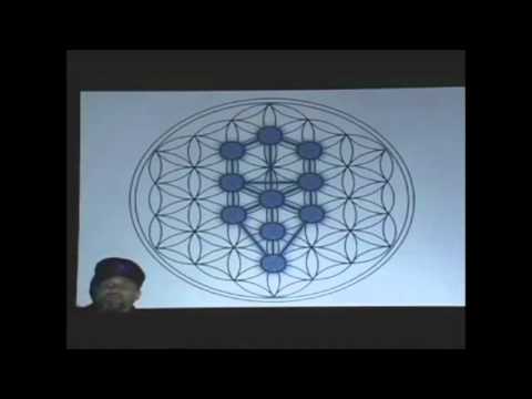 youtube.com.YouTube – Tree of Life (Metaphysics Lesson by DR Phil Valentine).flv – YouTube.flv
