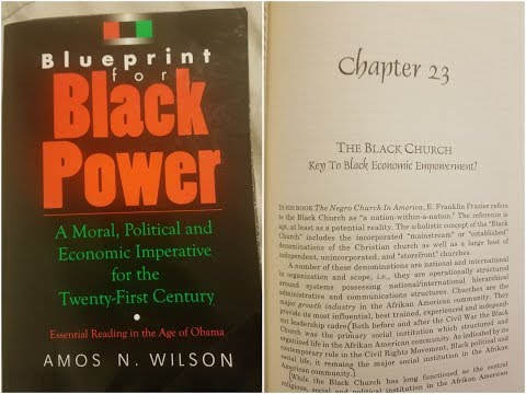 Dr. Amos Wilson, Blueprint For Black Power Chapter 23 – RAM Bookclub