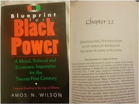 Dr. Amos Wilson, Blueprint For Black Power Chapter 22 – RAM Bookclub