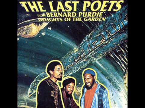 The Last Poets With Bernard Purdie – The Pill (1977)