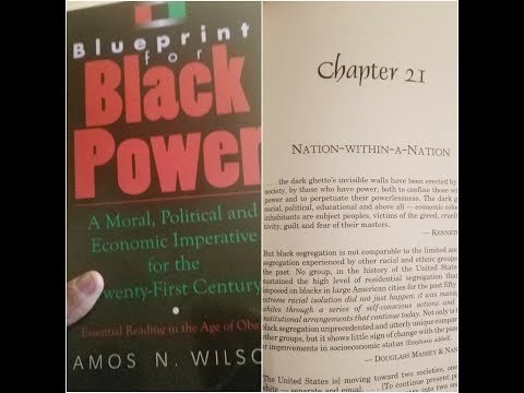 Dr. Amos Wilson, Blueprint For Black Power Chapter 21 – RAM Bookclub