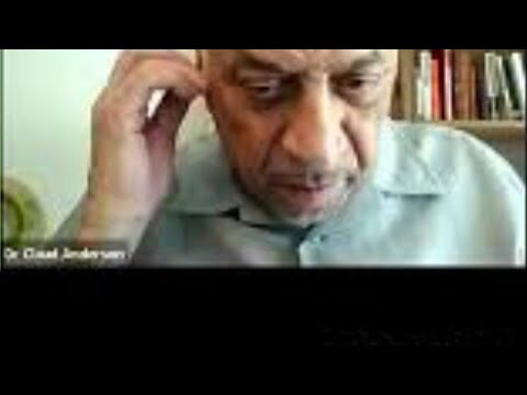 Dr. Claud Anderson BUYOUTS, PAYOFFS & WHITE INDIANS