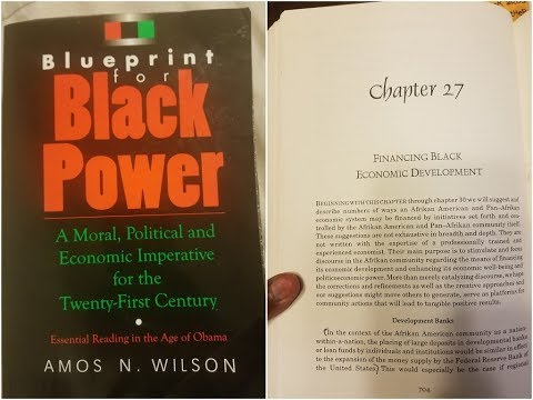 Dr. Amos Wilson, Blueprint For Black Power Chapter 27 – RAM Bookclub