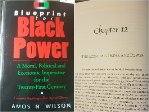 Dr. Amos Wilson, Blueprint For Black Power Chapter 12 part 2 – RAM Bookclub