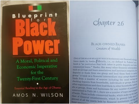 Dr. Amos Wilson, Blueprint For Black Power Chapter 26- RAM Bookclub