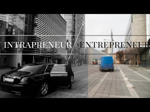 Should You Be an Entreprenuer or an Intraprenuer