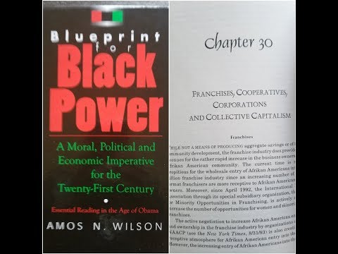 Dr. Amos Wilson, Blueprint For Black Power Chapter 30 – RAM Bookclub