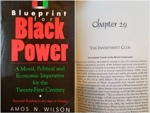 Dr. Amos Wilson, Blueprint For Black Power Chapter 29 – RAM Bookclub
