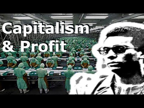 Why Increasing Wages is not a long-term Solution (feat. Kwame Ture) | Rhizome