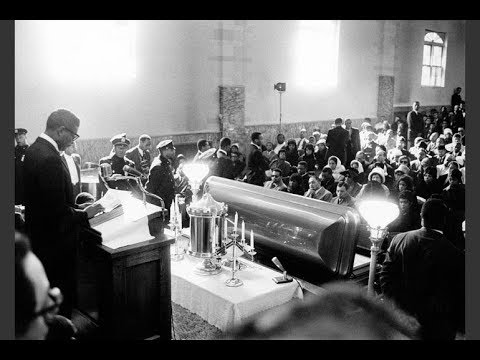 The Last days of Dr Amos Wilson One of his final speeches