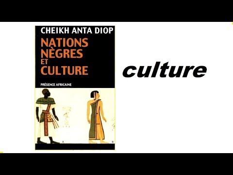 CULTURE AFRICAINE_Nations Negres et Culture_ Cheikh Anta Diop_Dominique hotleeus | booktube