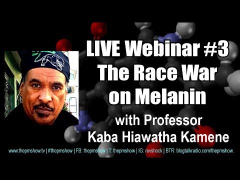 The Superiority of Melanin with Professor Kaba Hiawatha Kamene