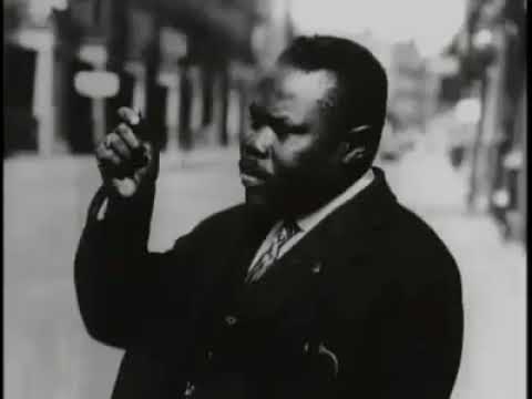 Marcus Garvey in America
